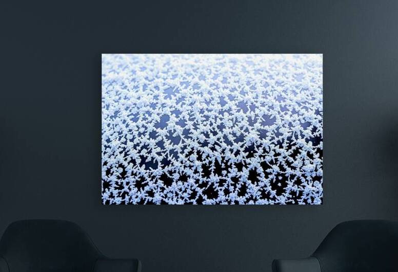 Intricate patterns of frost or ice crystals cover by Sofia Olinescu