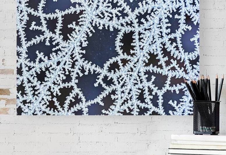 Intricate patterns of frost or ice crystals cover by Sofia Olinescu