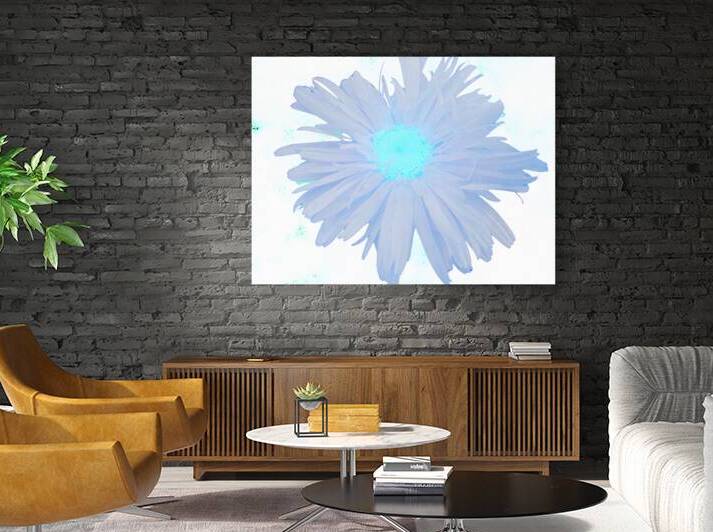 Abstract Ethereal Daisy by Catriona Roberts Nature Photography and Designs