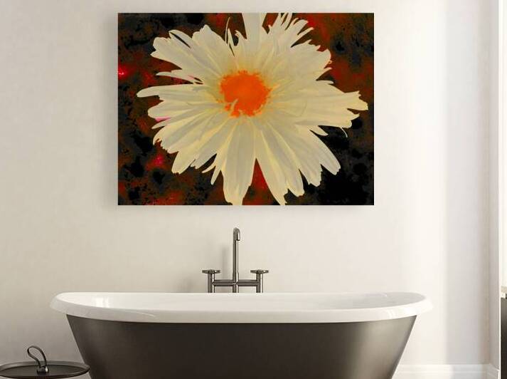 Abstract Orange Daisy with Abstract Background by Catriona Roberts Nature Photography and Designs