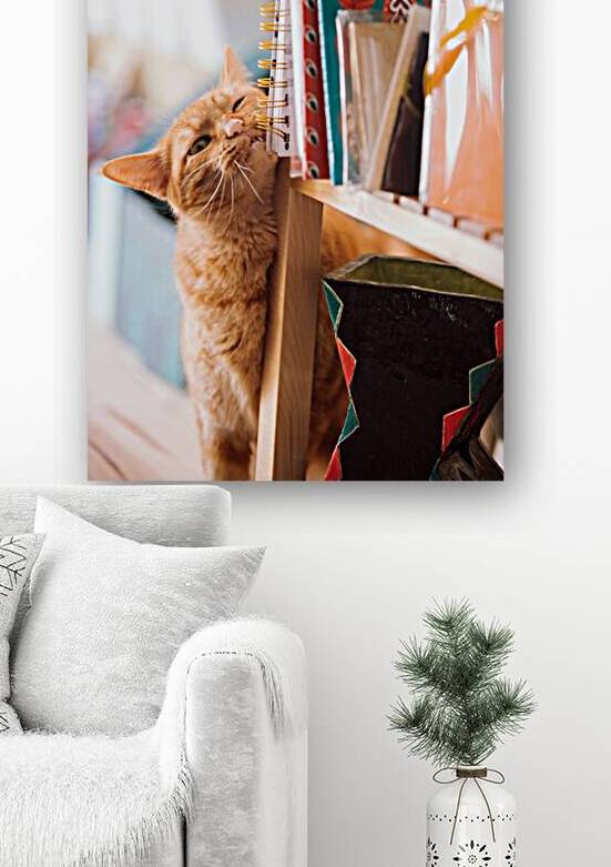 Funny Tabby Cat by One Simple Gallery