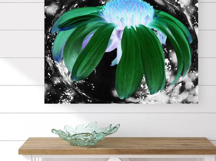  Abstract Green Cone Flower by Catriona Roberts Nature Photography and Designs