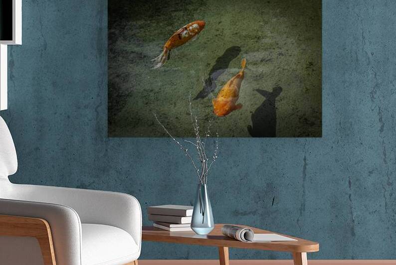 11518 KOI Fish by John Gilsenan 