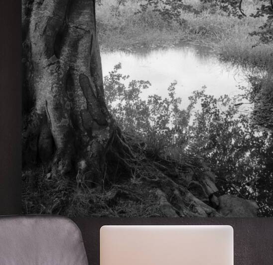 Summer Pond by Dave Bowman