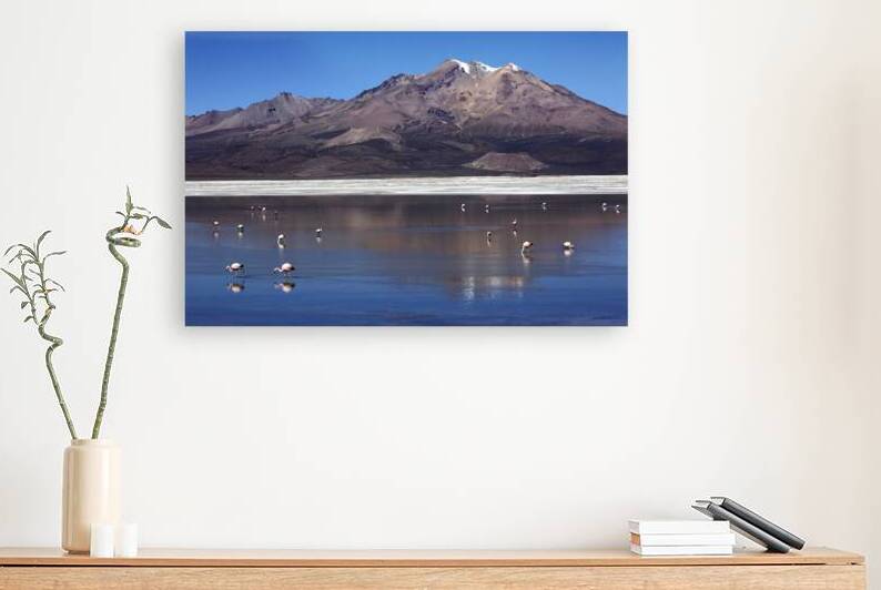 Salar de Surire and flamingos Chile by Magical Andes Photography