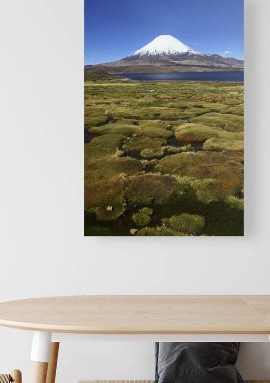 Parinacota volcano and wetlands on shore of Lake Chungara by Magical Andes Photography