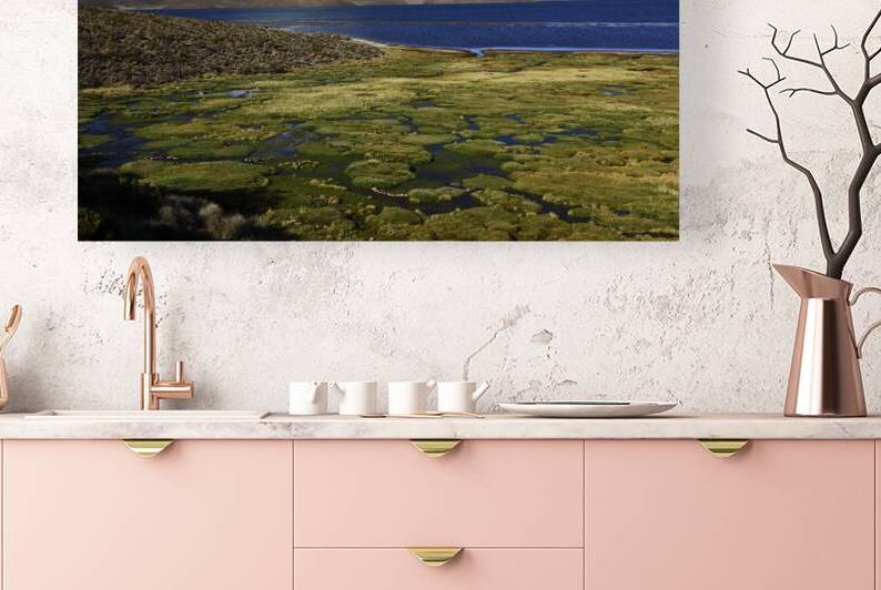 Bofedal wetlands Lake Chungara and Parinacota volcano by Magical Andes Photography