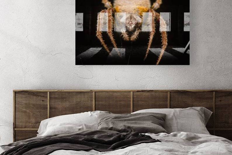 The Nocturnal Architect by Visual Voyages Fine Art