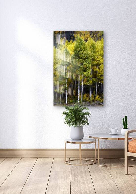 A few Aspens by Images By Jon Evan