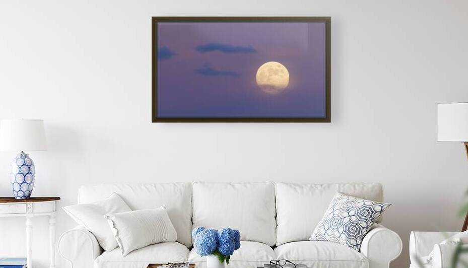 Moonlit Serenity: A Full Moon Rising Over Arizona by Shallowshark