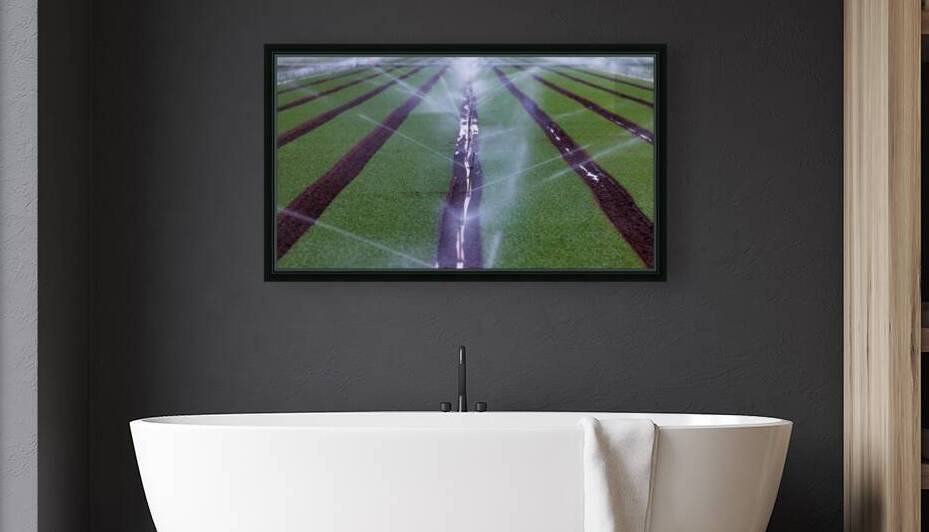 Irrigation Symphony: Cultivating Yumas Fertile Fields by Shallowshark