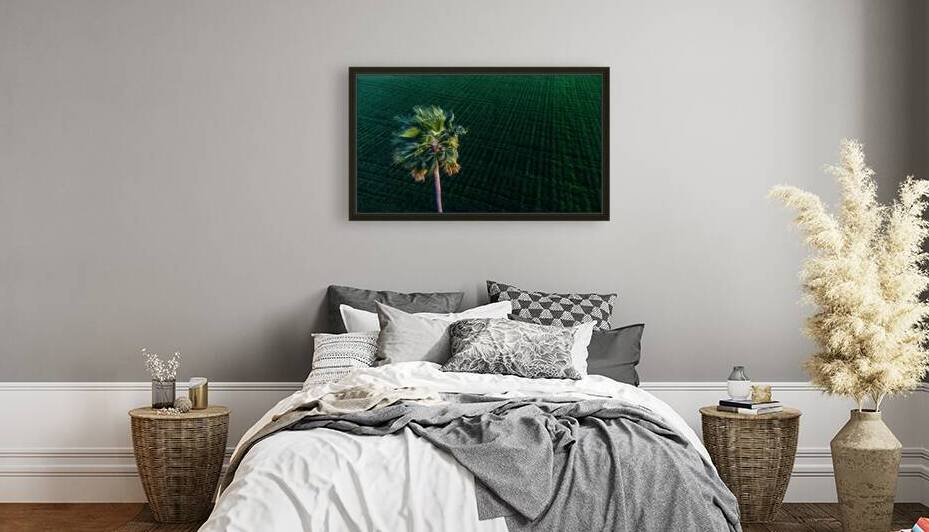 Green Fields of Yuma: Aerial View with Desert Palm by Shallowshark