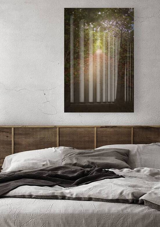 Pathways to Imagination by Visual Voyages Fine Art