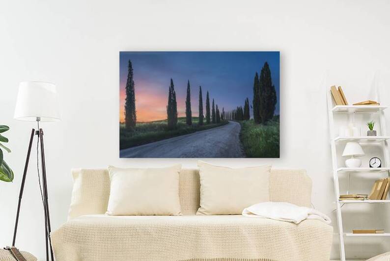 Country road with cypress trees at sunset. Tuscany by Stefano Orazzini