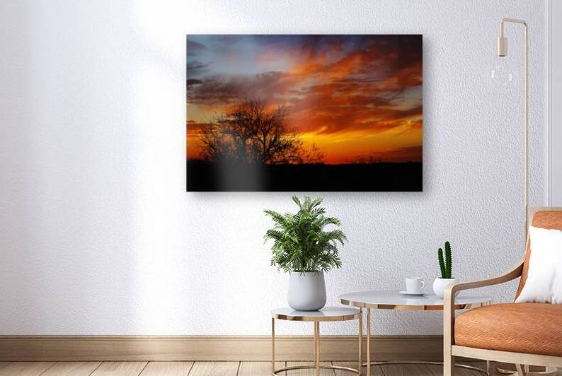 Sonoran Desert Sunset: Silhouette & Sky Masterpiece by Shallowshark