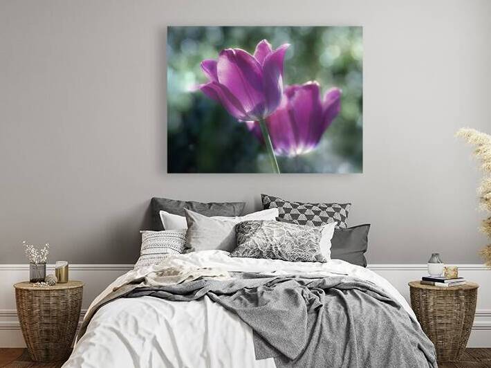 Purple Tulips by Joan Han