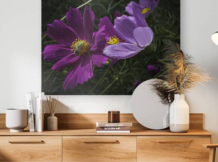 10923 Cosmos 8  by John Gilsenan 