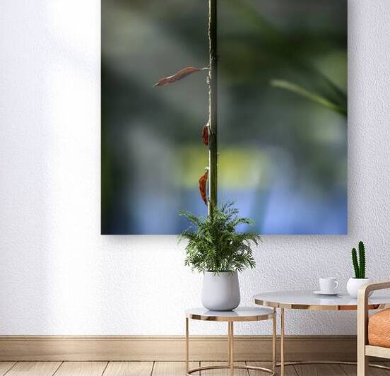 11524 Ignotus 4 by John Gilsenan 