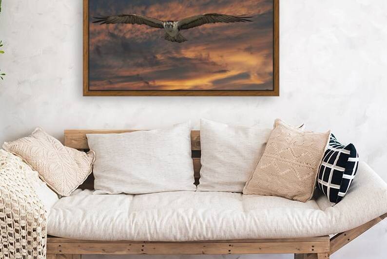 Stormy by EarthsMoments by Marc Harris photographer