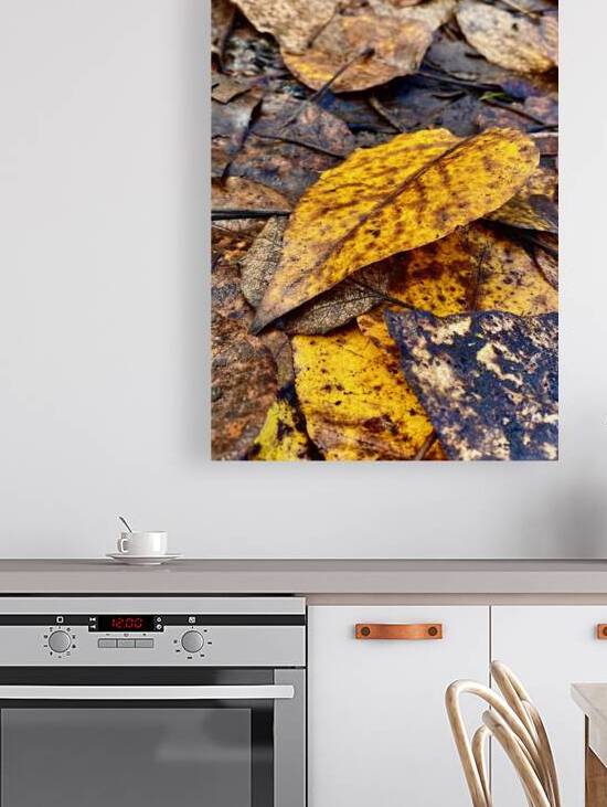 Scent of Autumn by Raspberry Rose Photos by Pip KImberley