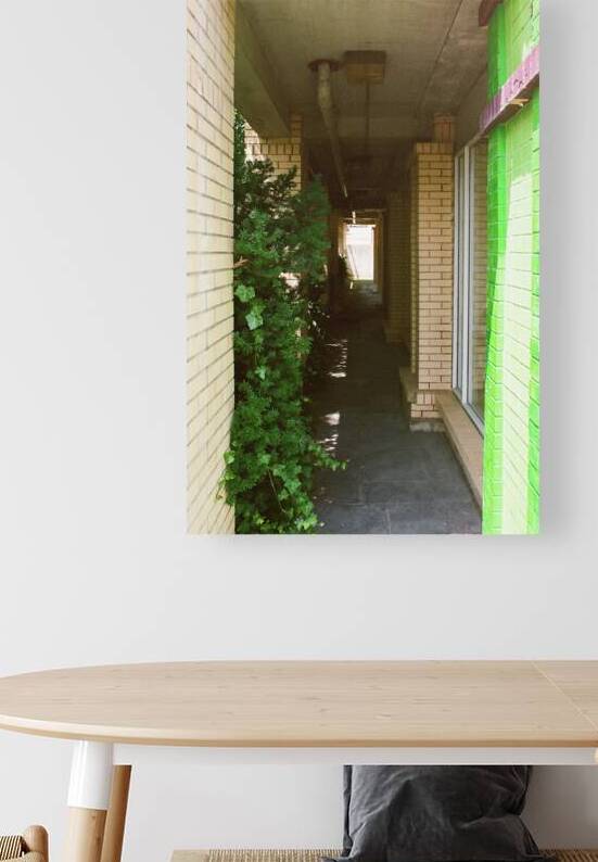 A Niagara Falls Alley by maniacvii