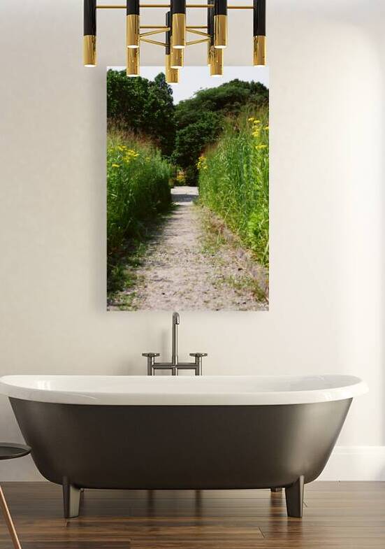 Butterfly Path by maniacvii