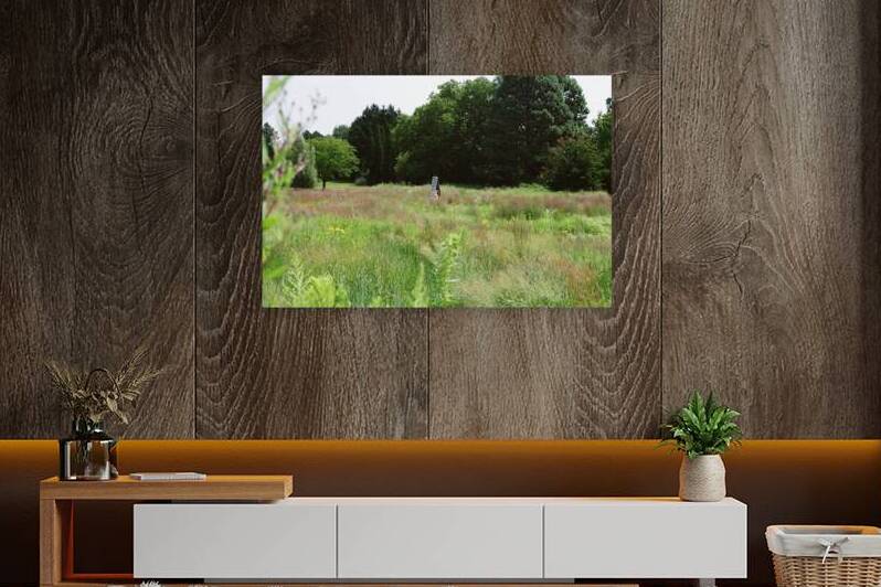 Butterfly House at the Butterfly Conservatory by maniacvii