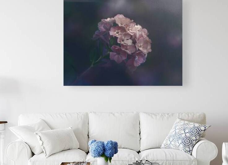 Pink Blossoms by Joan Han