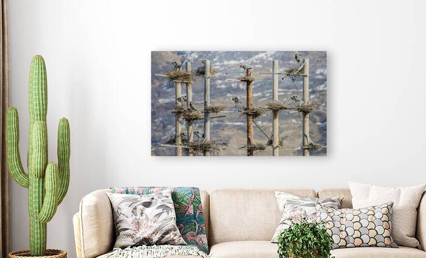 Great Blue Heron Rookery - Great Salt Lake - Utah by Gary Whitton