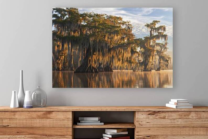 The Veil by Andy Crawford