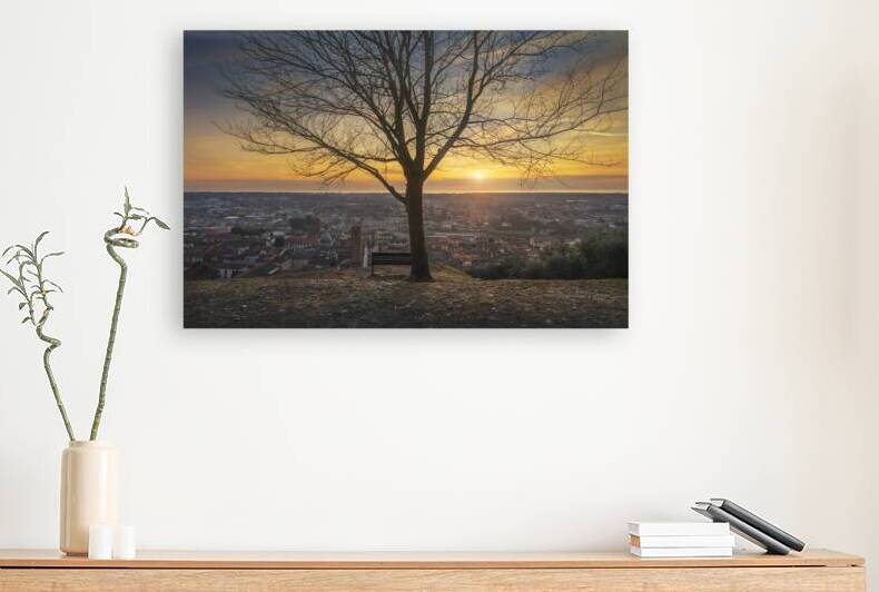 A tree and Pietrasanta town view by Stefano Orazzini