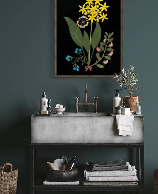 1830s flower art by Row One Brand