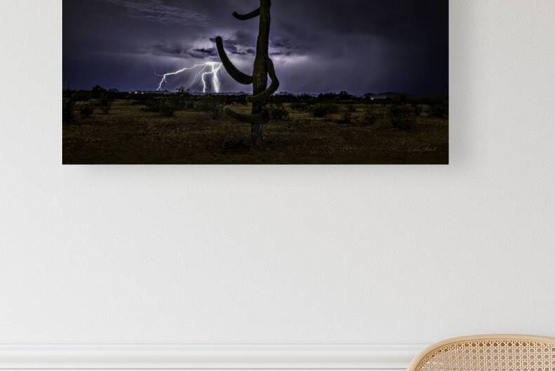 Desert Fury by Edward Mitchell