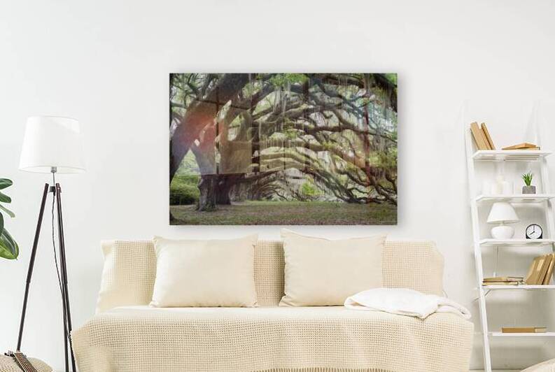 Tunnel of Oak Trees 1 by Images By Jon Evan