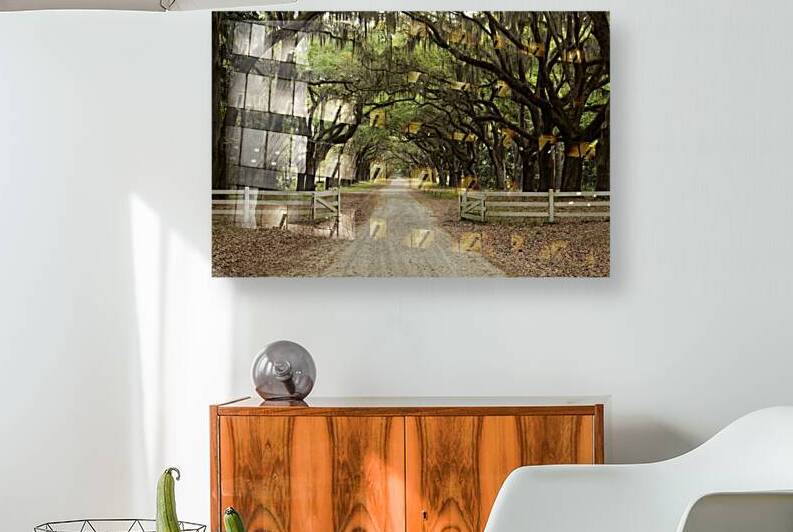 Entrance to the Plantation by Images By Jon Evan