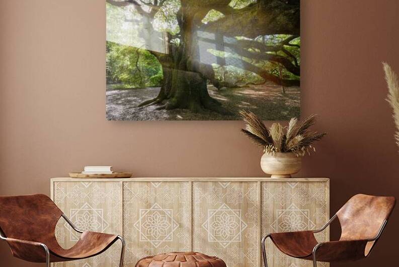 Angel Oak Reaching Out by Images By Jon Evan