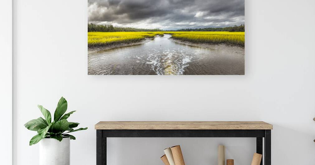 Broad River Plantation Marsh by Norma Brandsberg Photography