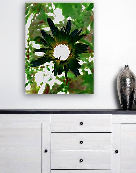 Abstract Dark Green Daisy Flower by Catriona Roberts Nature Photography and Designs