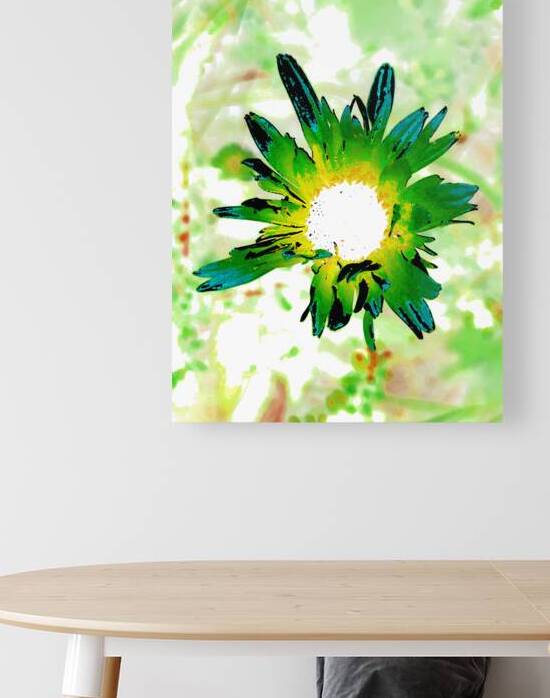  Abstract Green Daisy Flower by Catriona Roberts Nature Photography and Designs