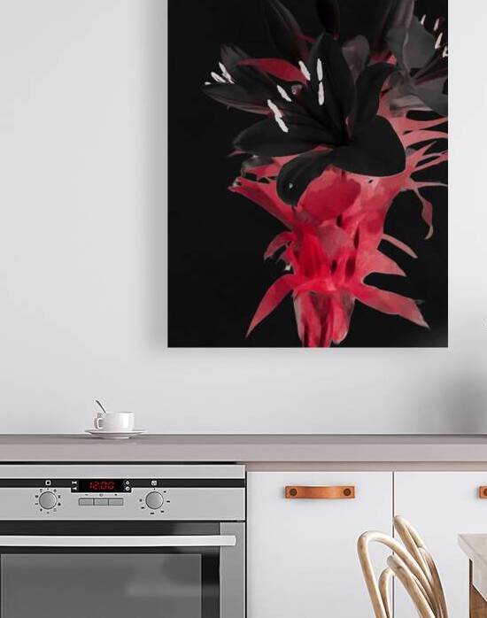 Abstract Black Lilies  by Catriona Roberts Nature Photography and Designs