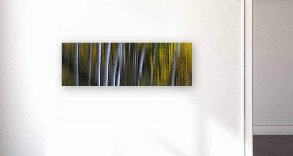 Forest Wilderness Wonderland Abstract  Photo Art by Bo Insogna