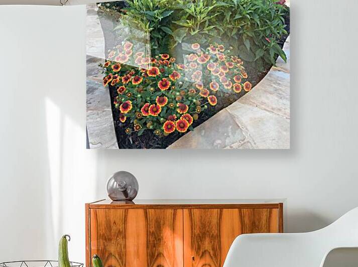 Blanket Flower by WRR