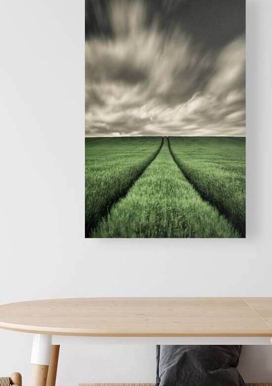 Field Tracks by Dave Bowman