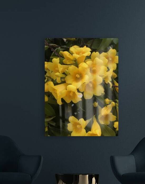 Yellow Jassamine by WRR