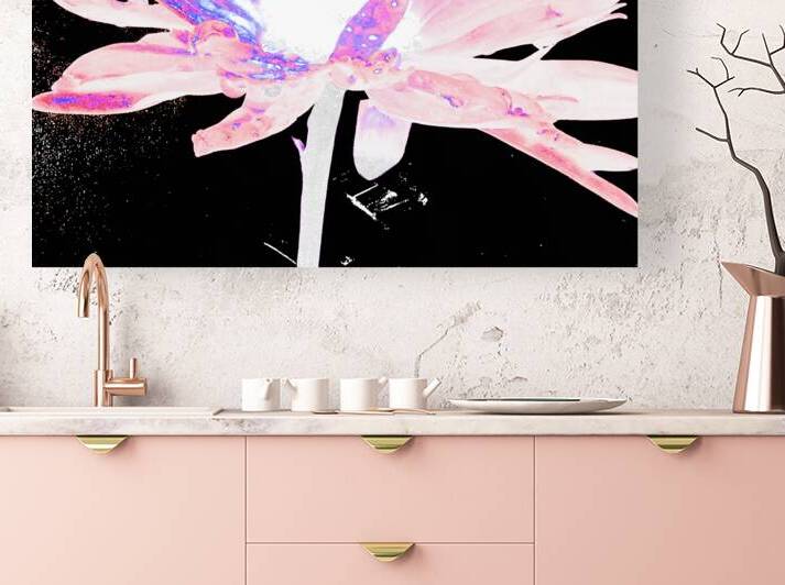 Abstract Pink Daisy Dark Background by Catriona Roberts Nature Photography and Designs