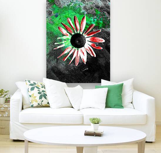 Abstract Daisy Red Petals by Catriona Roberts Nature Photography and Designs