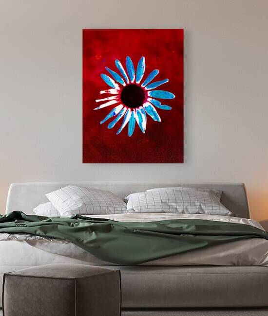 Abstract Daisy Red Abstract Background by Catriona Roberts Nature Photography and Designs