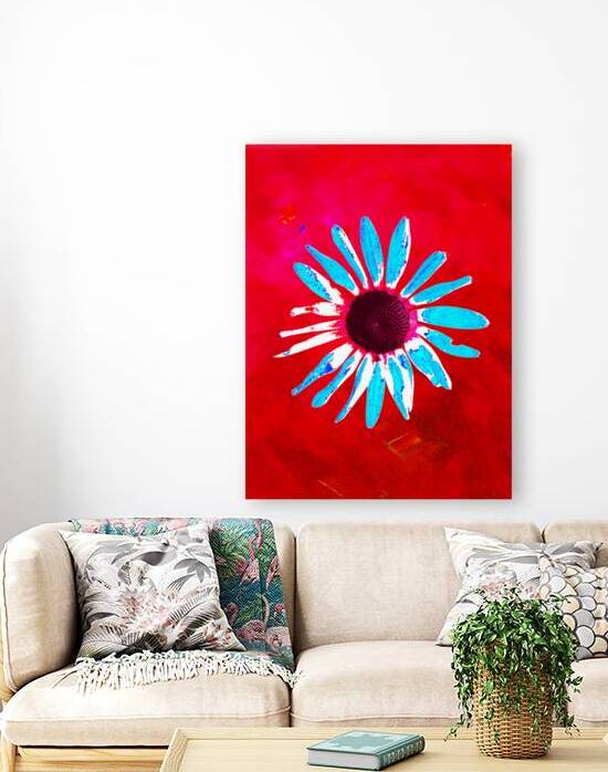 Abstract Daisy Blue Petals by Catriona Roberts Nature Photography and Designs