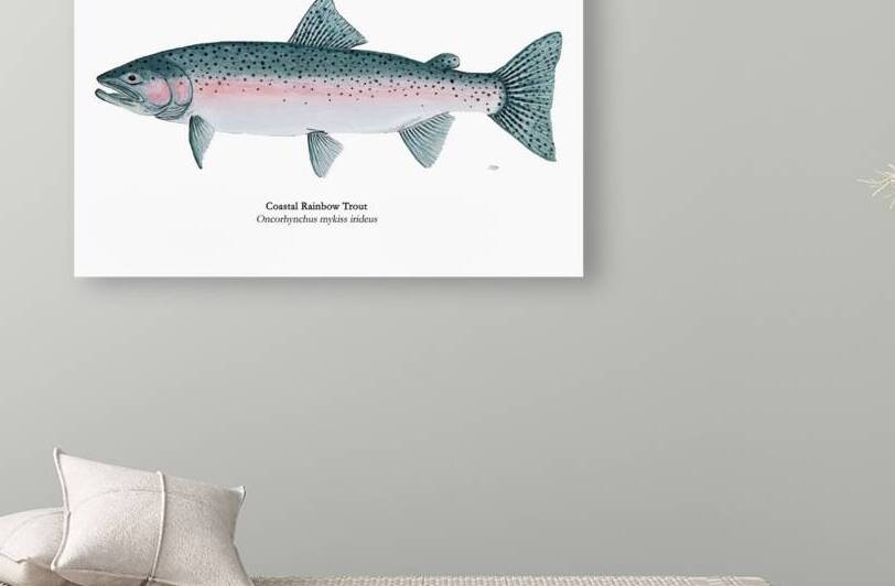 Coastal Steelhead Painting by Stephen Emms