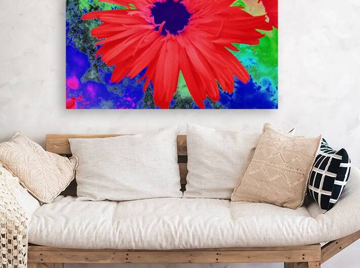 Abstract Psychedelic Daisy by Catriona Roberts Nature Photography and Designs